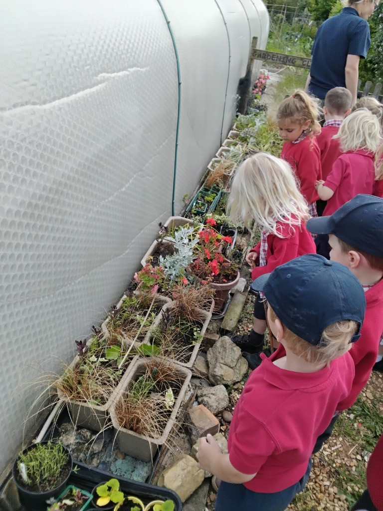 Petal Patrol & the Great Fairy Escape 🌼🧚, Copthill School