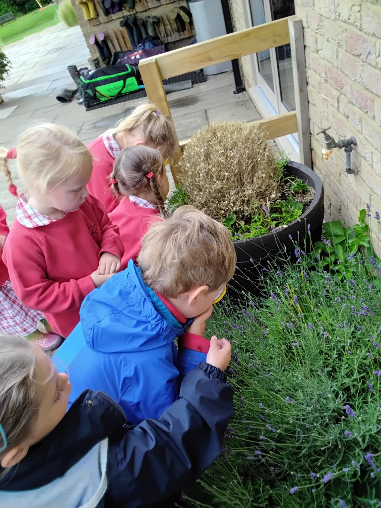Petal Patrol & the Great Fairy Escape 🌼🧚, Copthill School