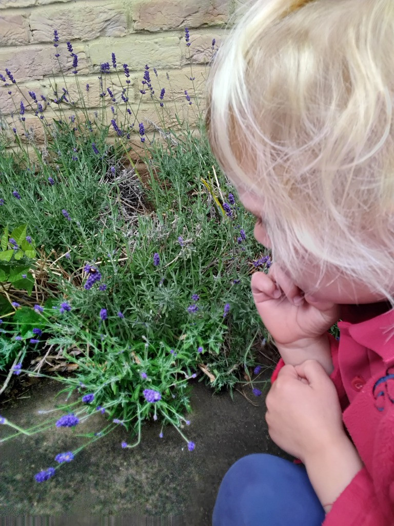 Petal Patrol & the Great Fairy Escape 🌼🧚, Copthill School