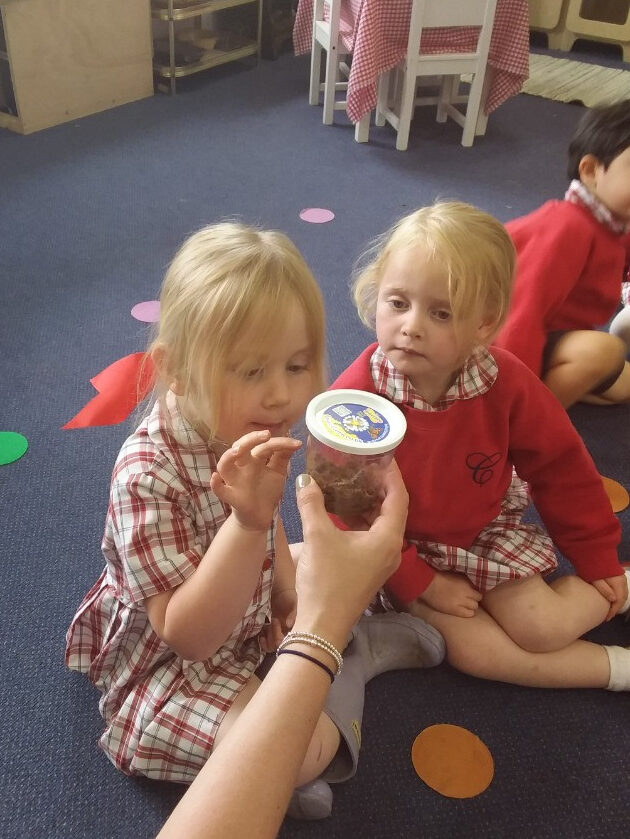Caterpillar Chronicles: From Wriggles to Wings! 🐛✨🦋, Copthill School