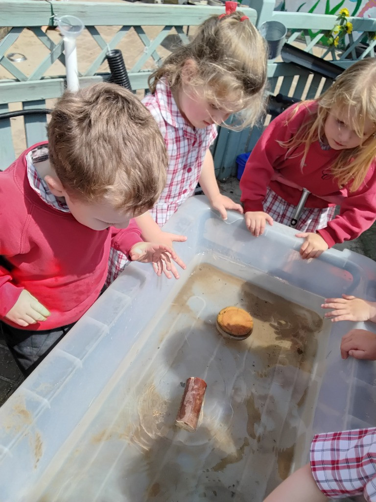 Float or Flop? The Very Scientific Woodland Water Test! 🌿🧪💧, Copthill School