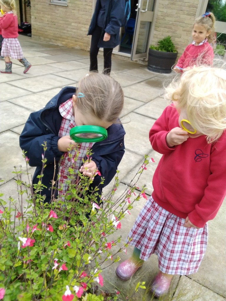 Petal Patrol & the Great Fairy Escape 🌼🧚, Copthill School