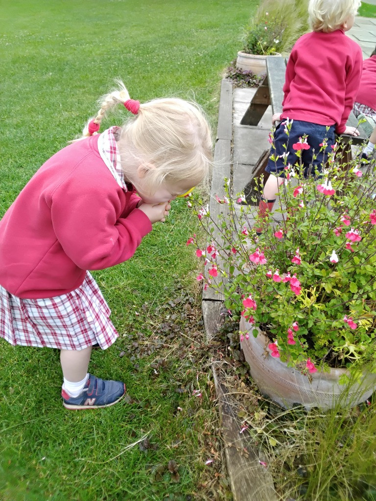 Petal Patrol & the Great Fairy Escape 🌼🧚, Copthill School