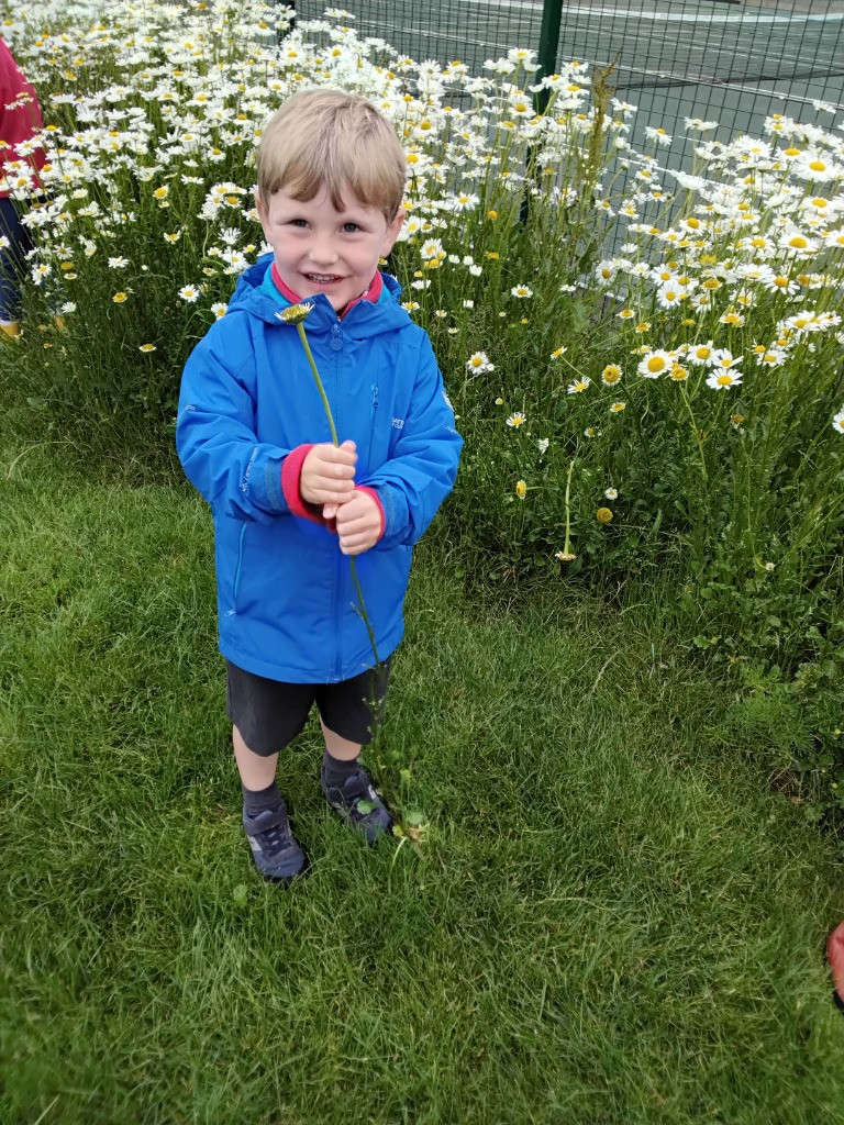 Petal Patrol & the Great Fairy Escape 🌼🧚, Copthill School