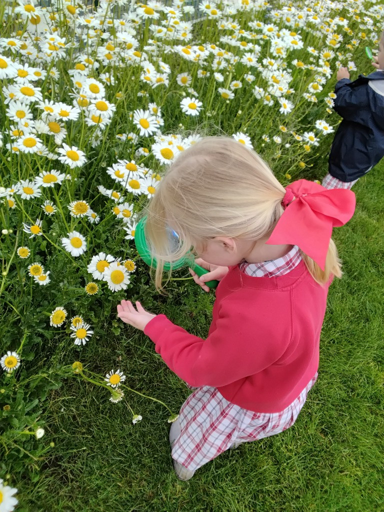 Petal Patrol & the Great Fairy Escape 🌼🧚, Copthill School