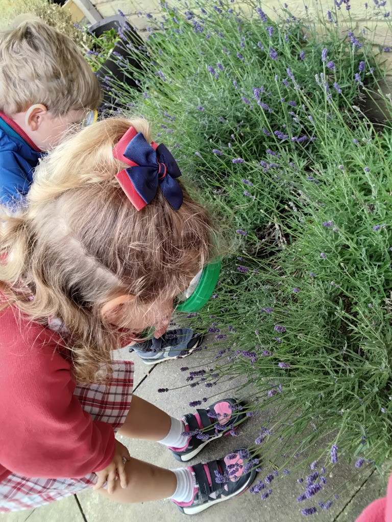 Petal Patrol & the Great Fairy Escape 🌼🧚, Copthill School