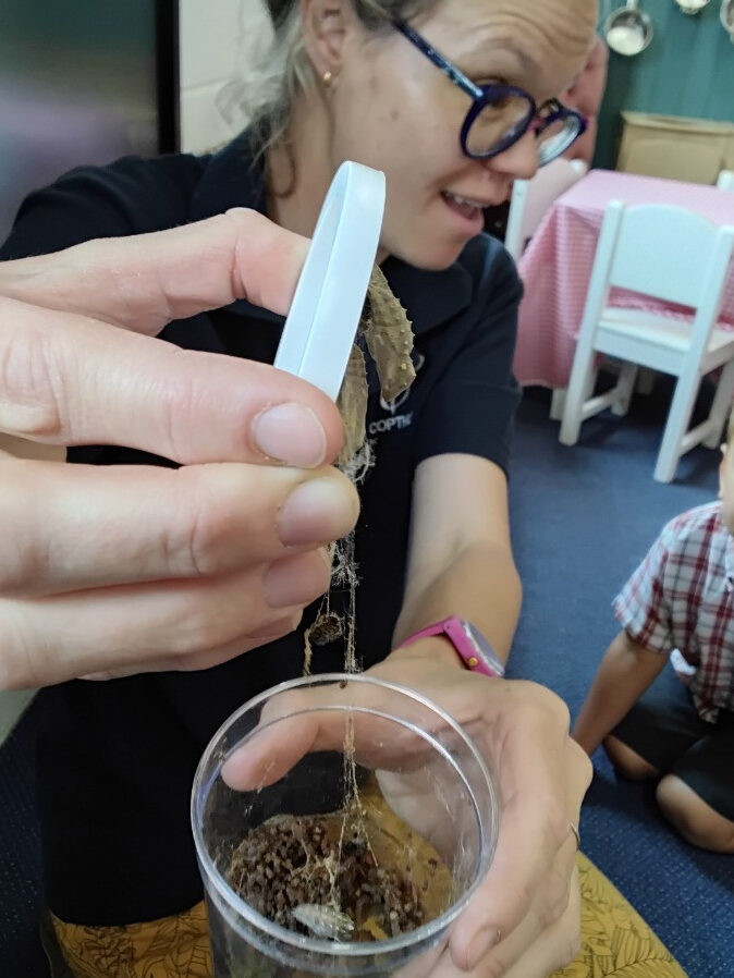 Caterpillar Chronicles: From Wriggles to Wings! 🐛✨🦋, Copthill School