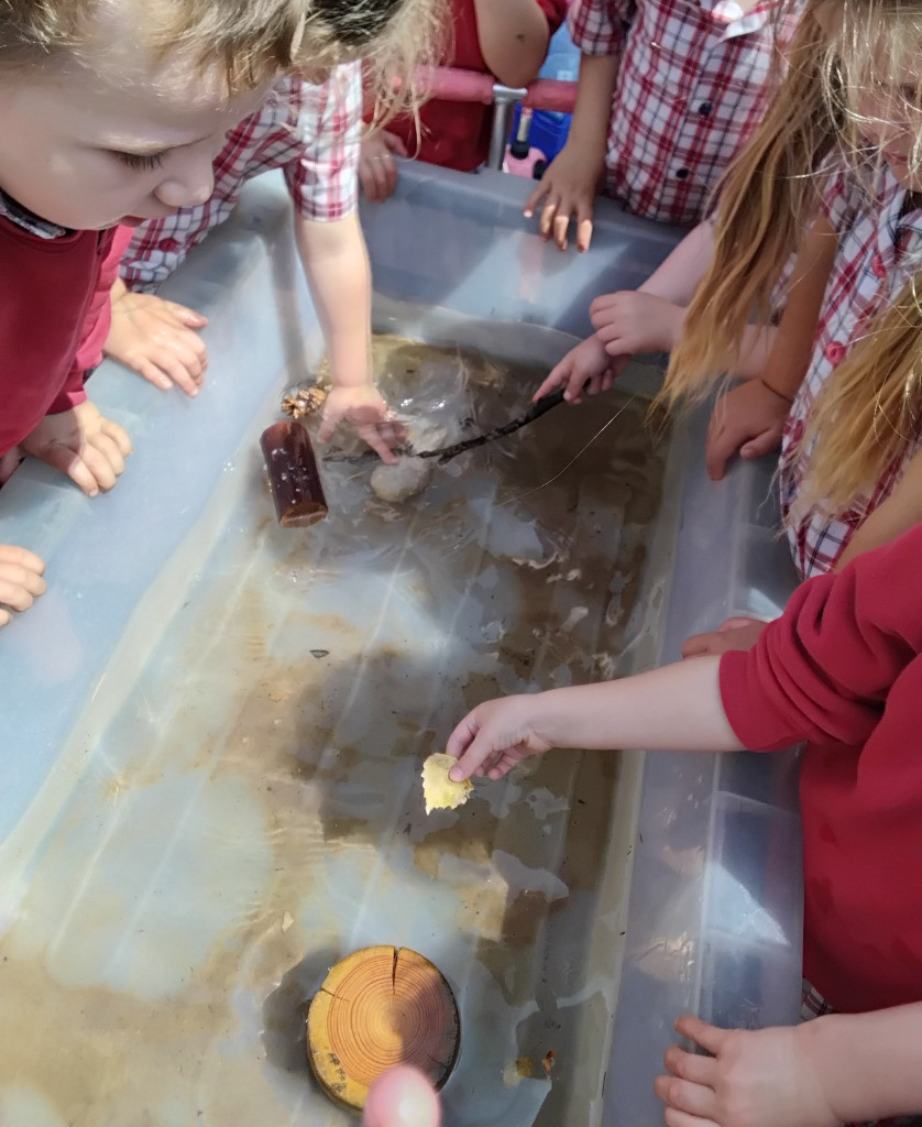 Float or Flop? The Very Scientific Woodland Water Test! 🌿🧪💧, Copthill School
