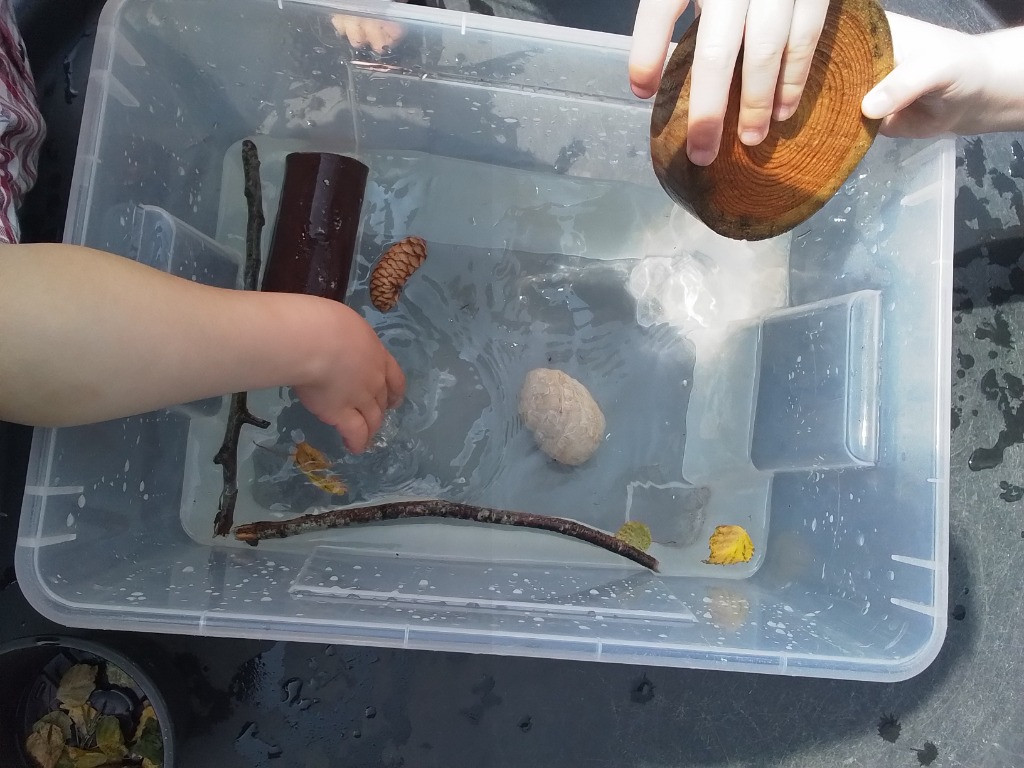 Float or Flop? The Very Scientific Woodland Water Test! 🌿🧪💧, Copthill School