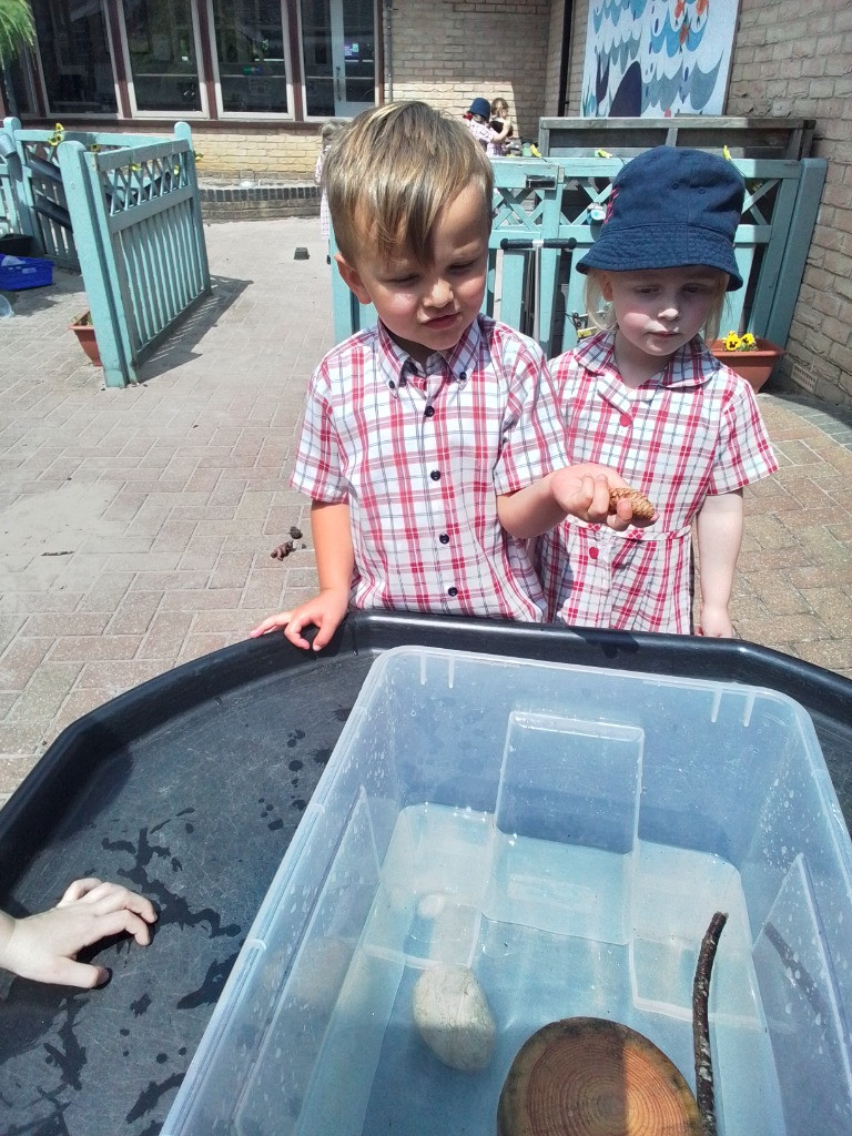 Float or Flop? The Very Scientific Woodland Water Test! 🌿🧪💧, Copthill School