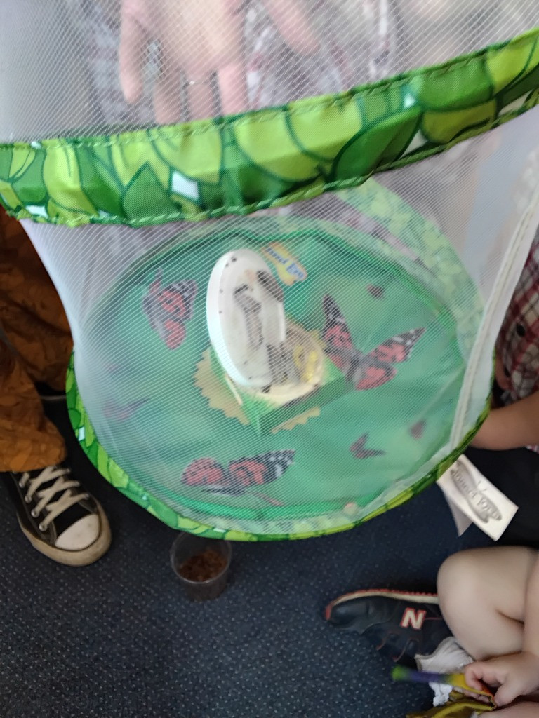 Caterpillar Chronicles: From Wriggles to Wings! 🐛✨🦋, Copthill School