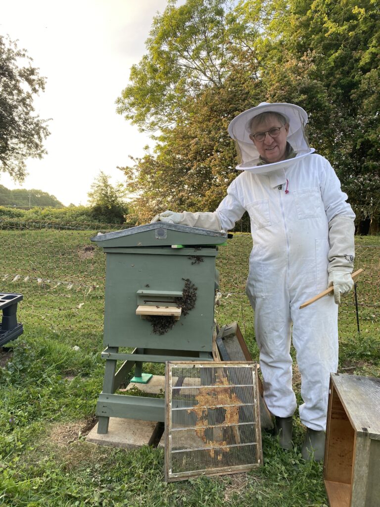 Mr Campbell’s Precious Hive, Copthill School