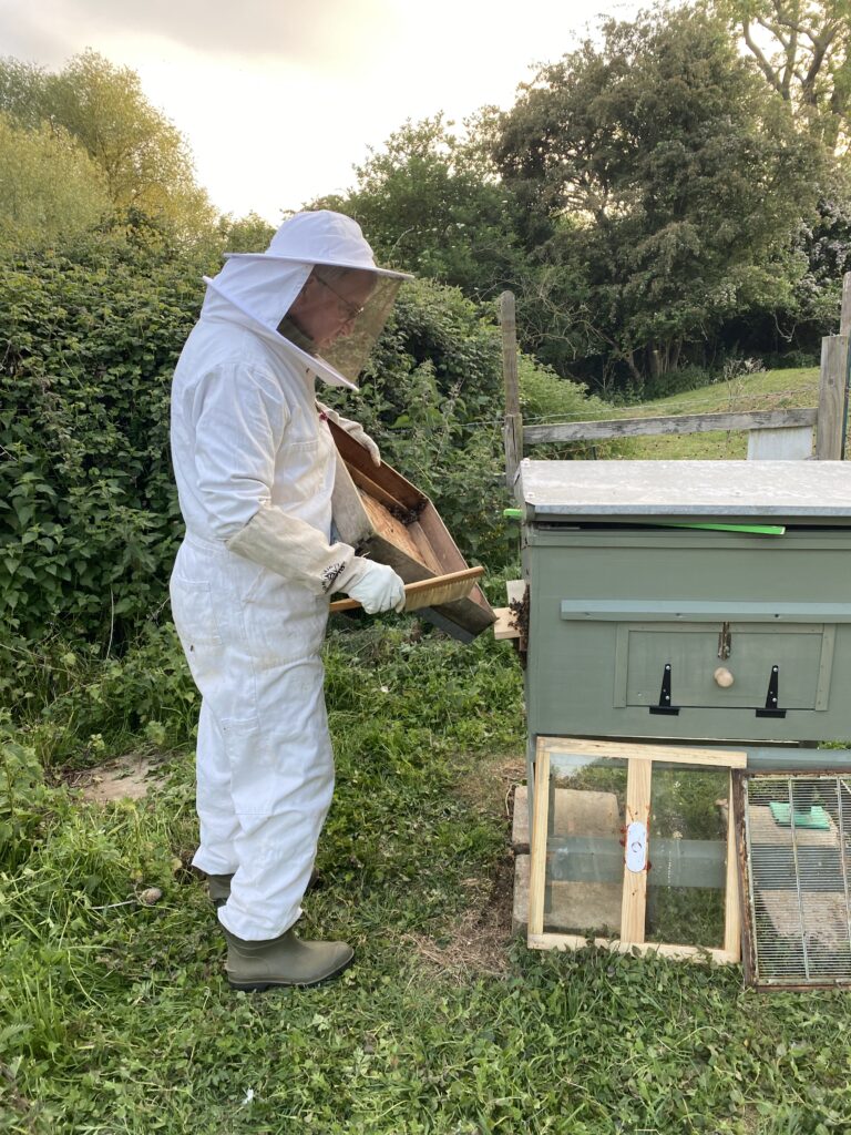 Mr Campbell’s Precious Hive, Copthill School