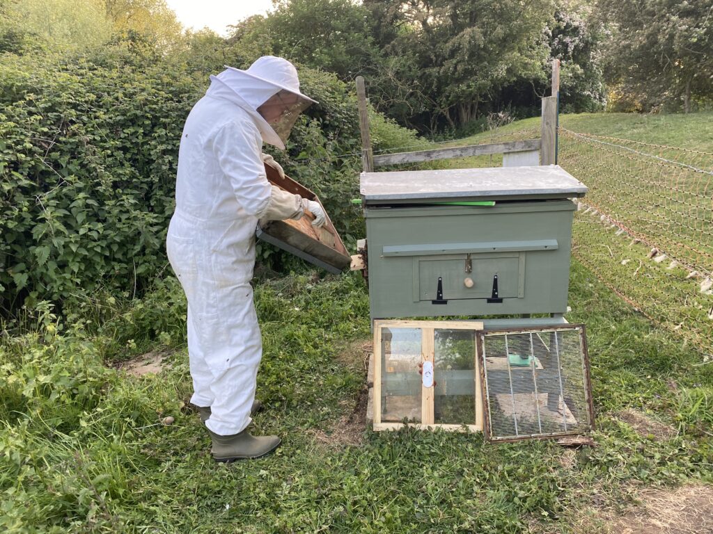 Mr Campbell’s Precious Hive, Copthill School