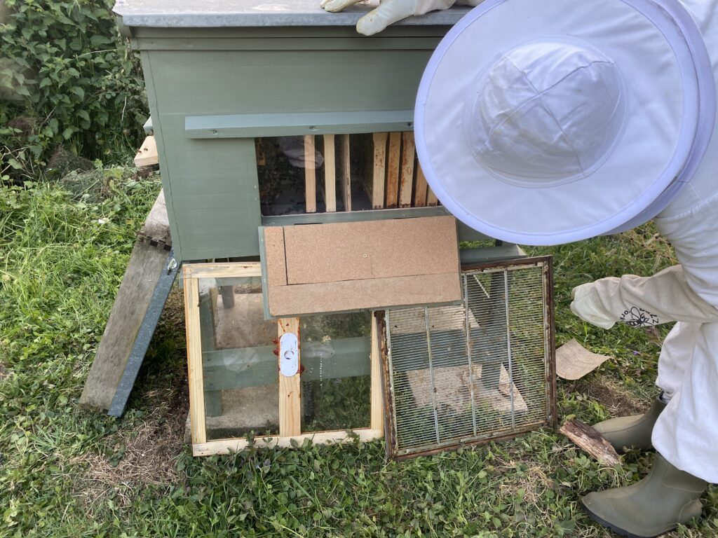 Mr Campbell’s Precious Hive, Copthill School