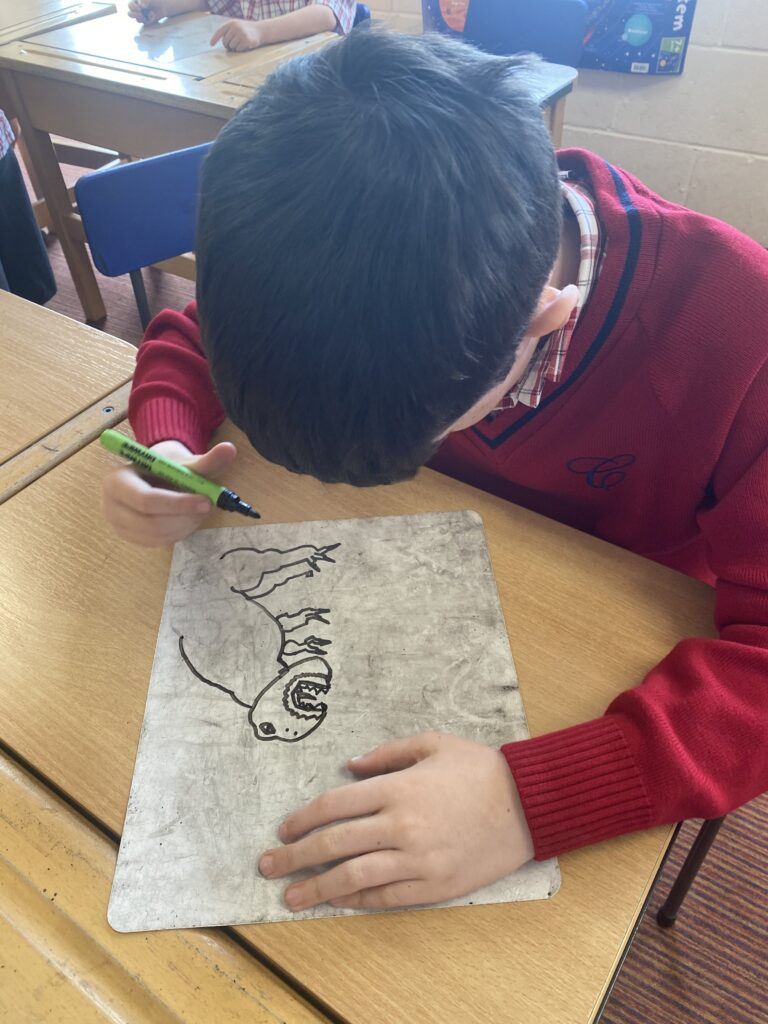 Using our senses, Copthill School
