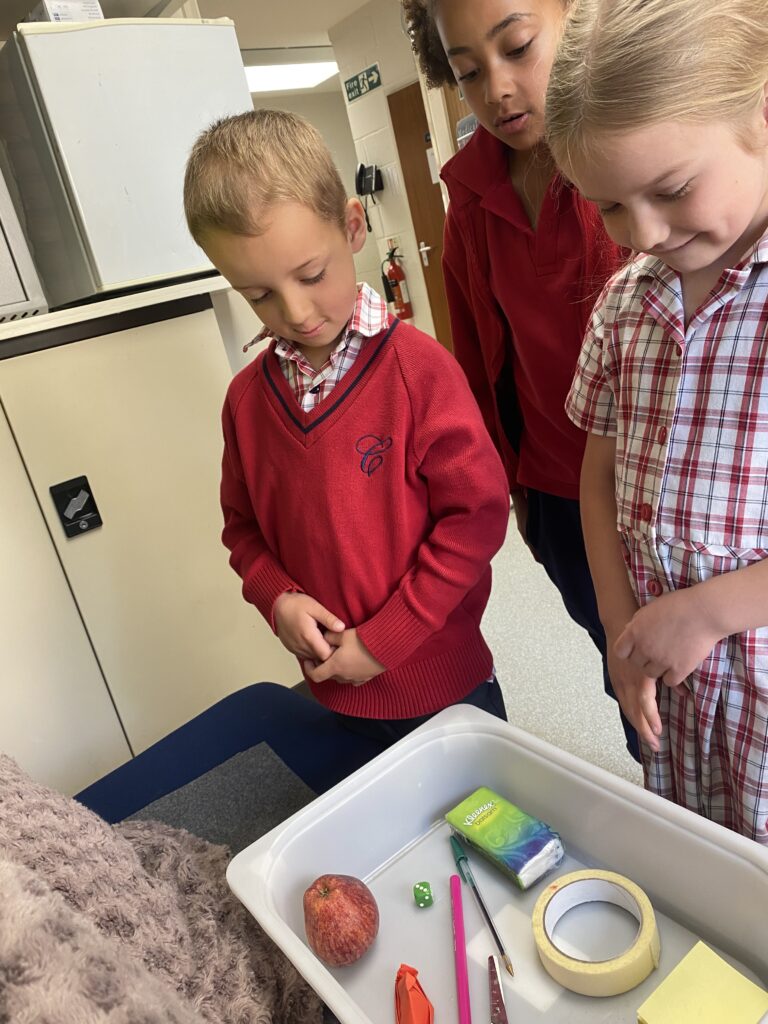 Using our senses, Copthill School
