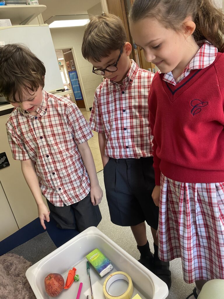 Using our senses, Copthill School