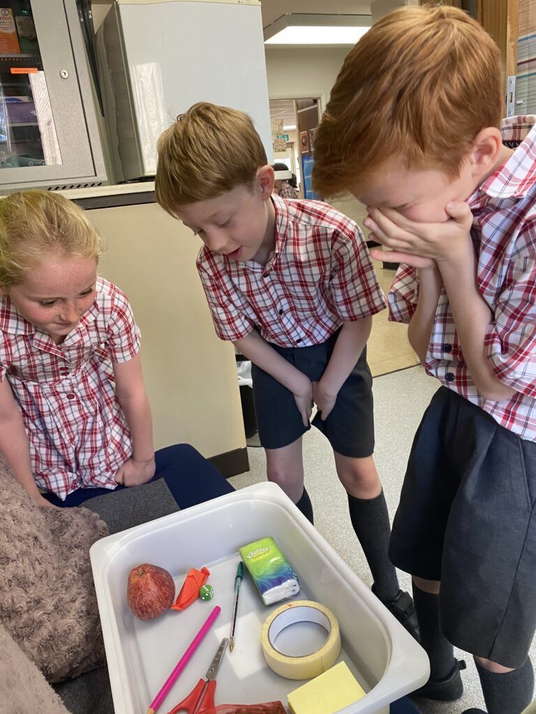 Using our senses, Copthill School