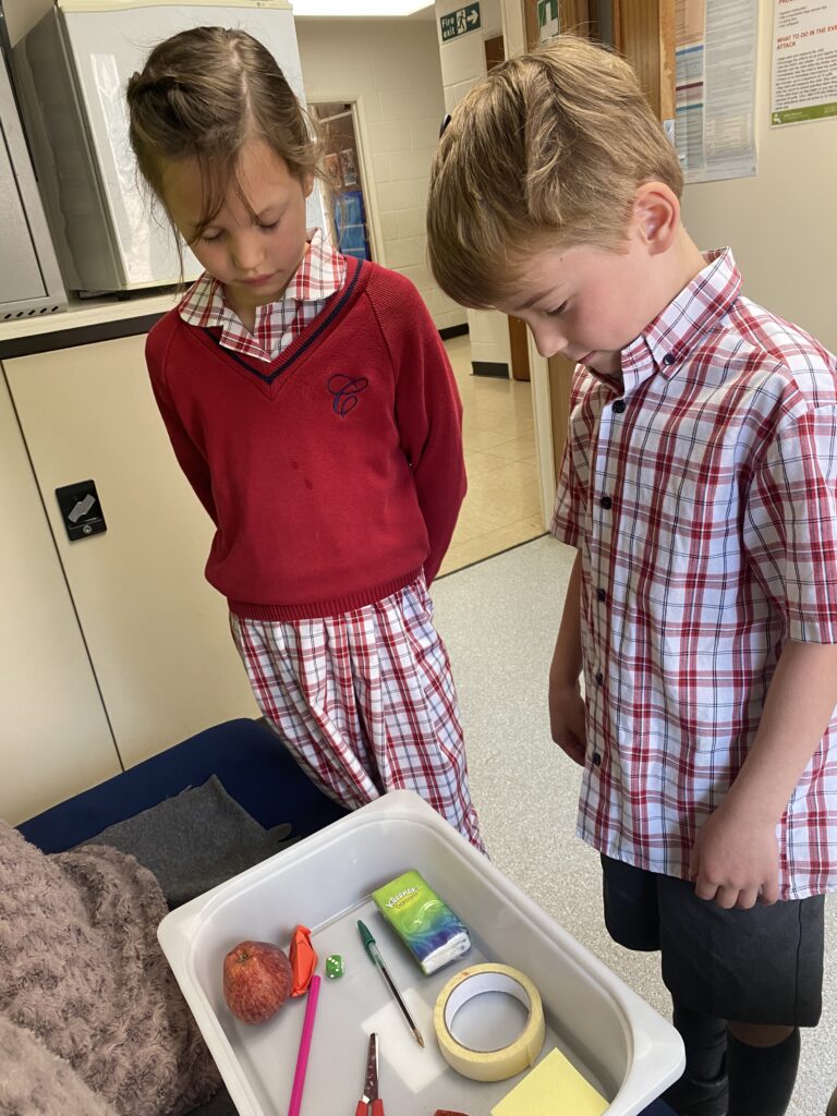 Using our senses, Copthill School