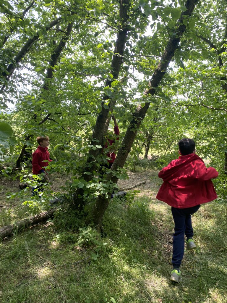 Using our senses, Copthill School