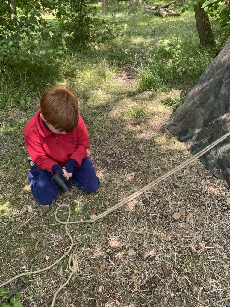Using our senses, Copthill School