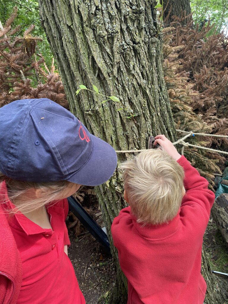 Using our senses, Copthill School