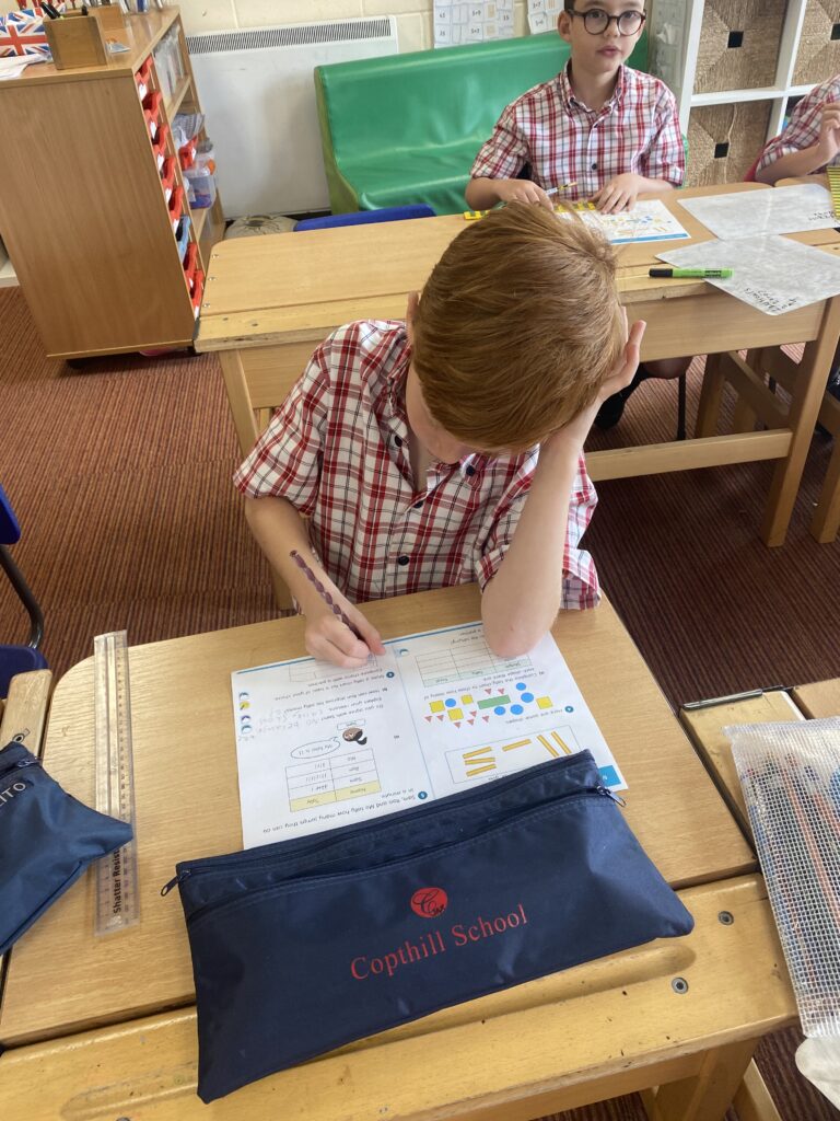 Animal Magic, Copthill School