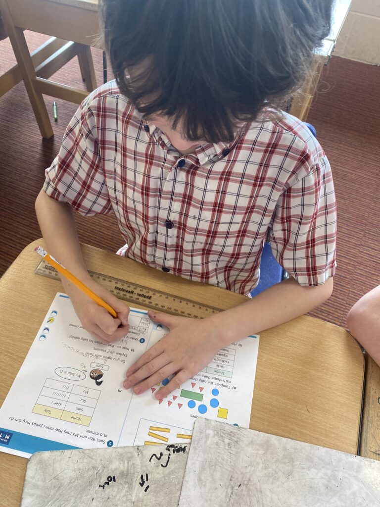 Animal Magic, Copthill School