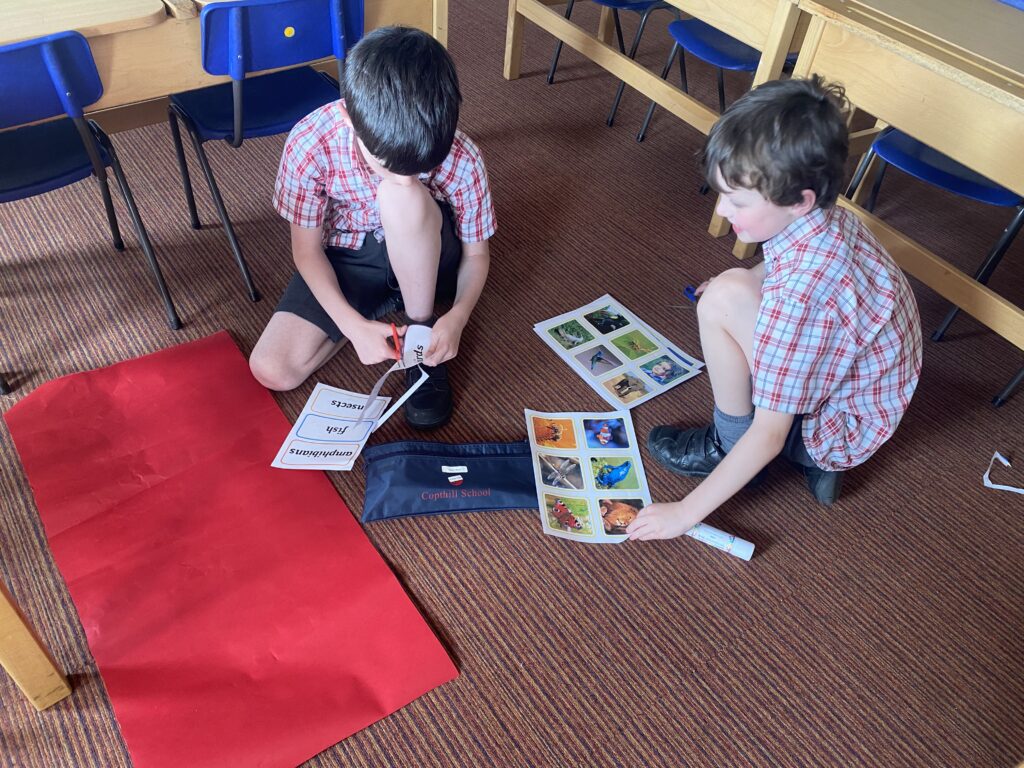 Animal Magic, Copthill School