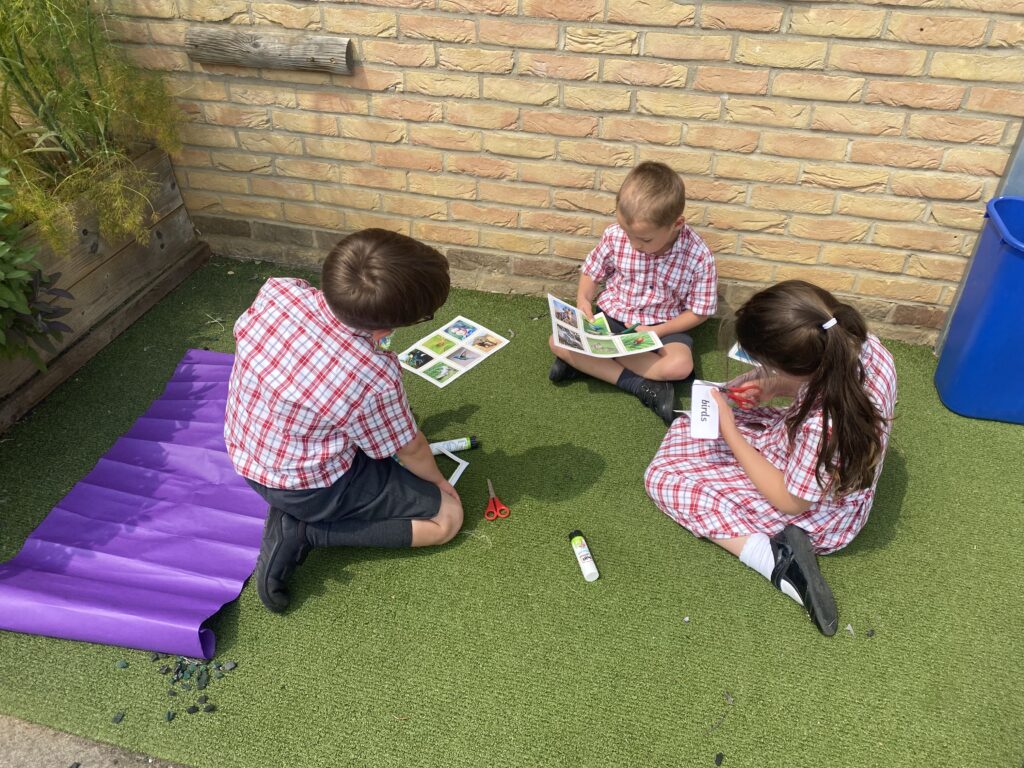 Animal Magic, Copthill School