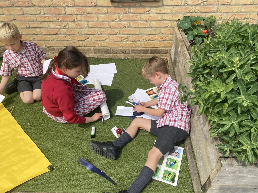 Animal Magic, Copthill School