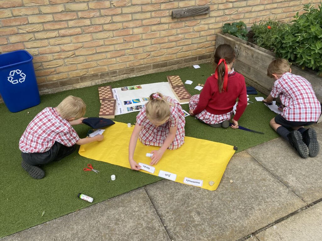 Animal Magic, Copthill School