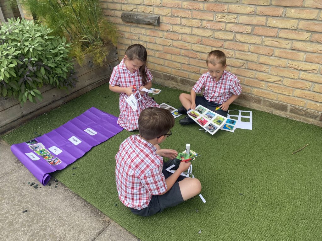 Animal Magic, Copthill School
