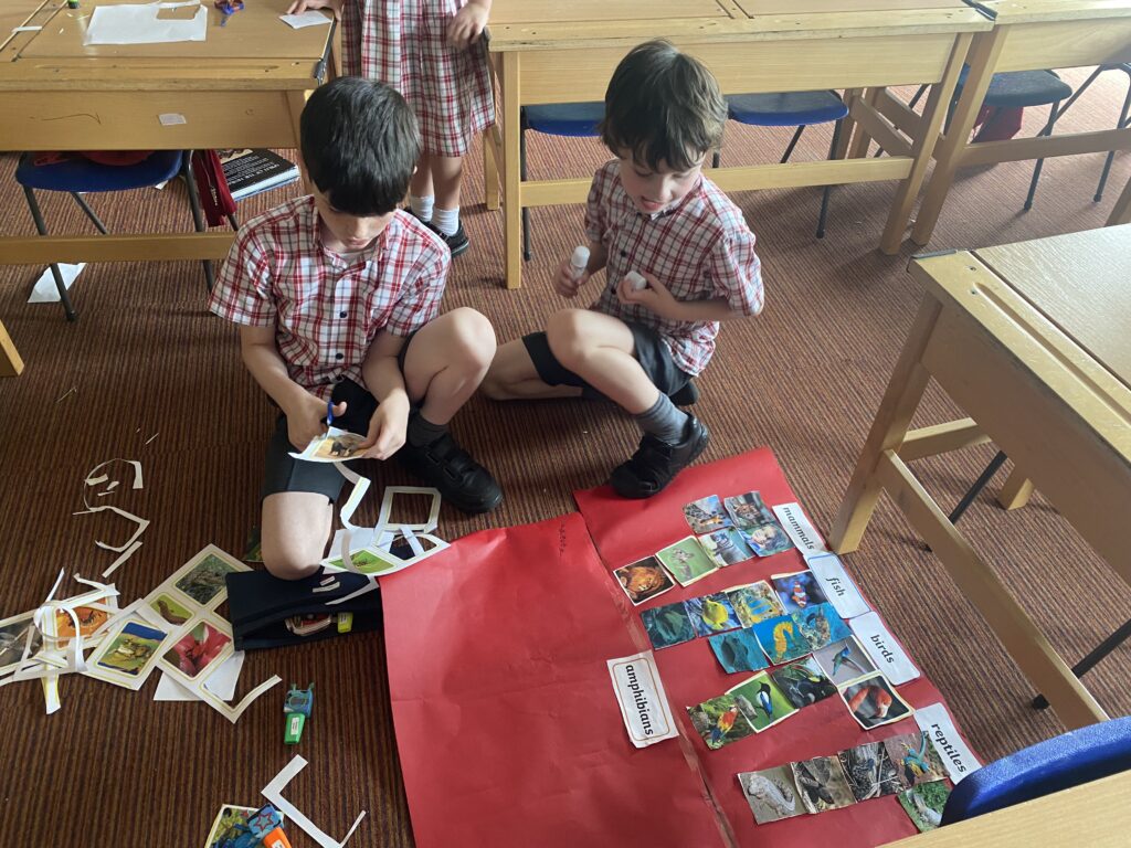 Animal Magic, Copthill School