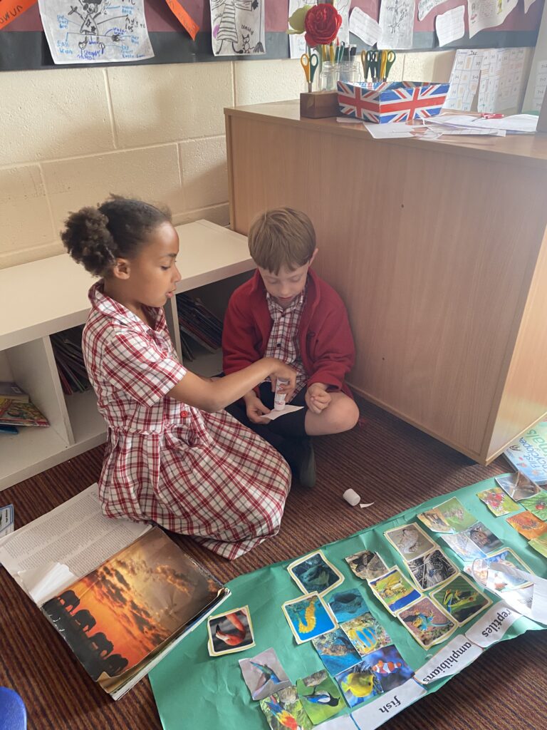 Animal Magic, Copthill School
