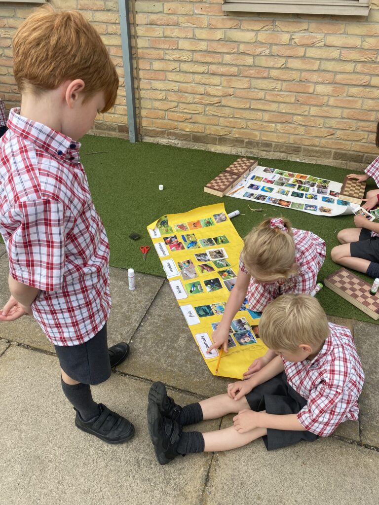 Animal Magic, Copthill School