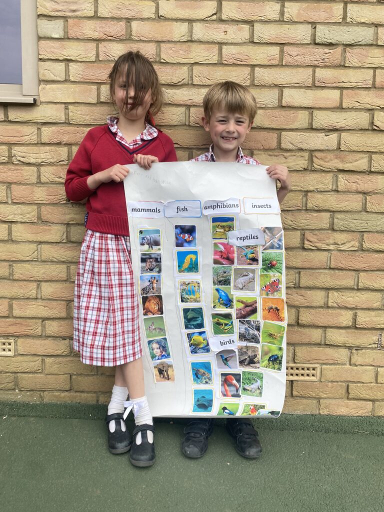 Animal Magic, Copthill School