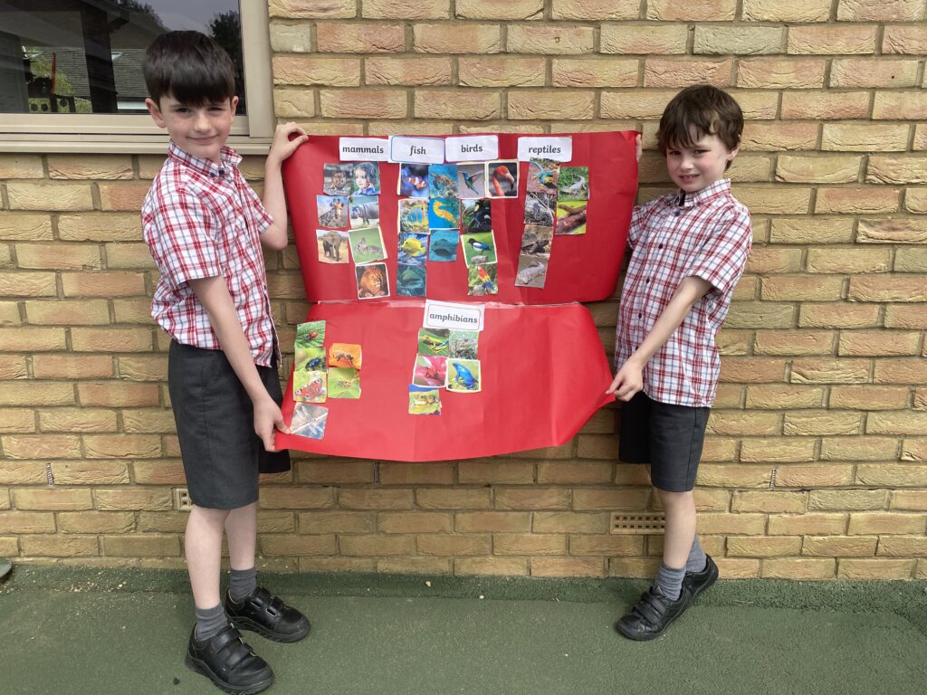Animal Magic, Copthill School