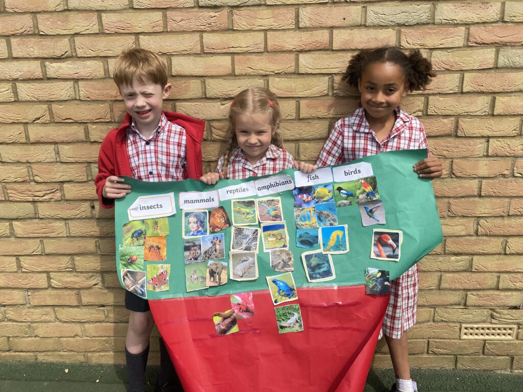 Animal Magic, Copthill School