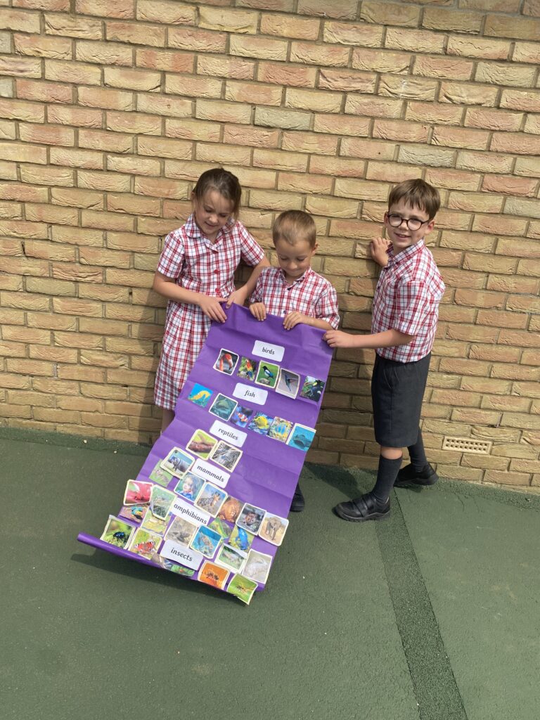 Animal Magic, Copthill School