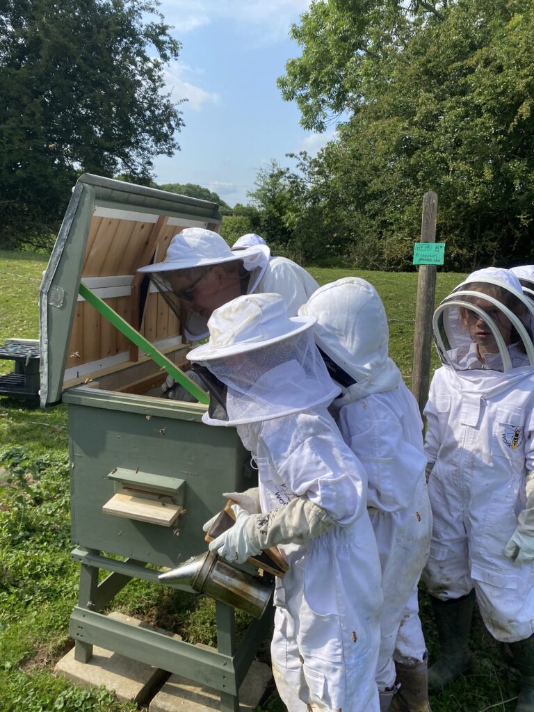 Mr Campbell’s Precious Hive, Copthill School