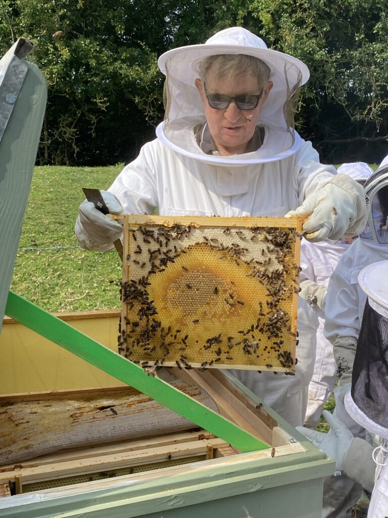 Mr Campbell’s Precious Hive, Copthill School