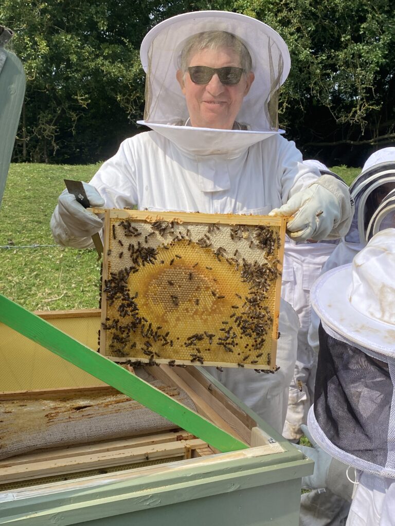 Mr Campbell’s Precious Hive, Copthill School