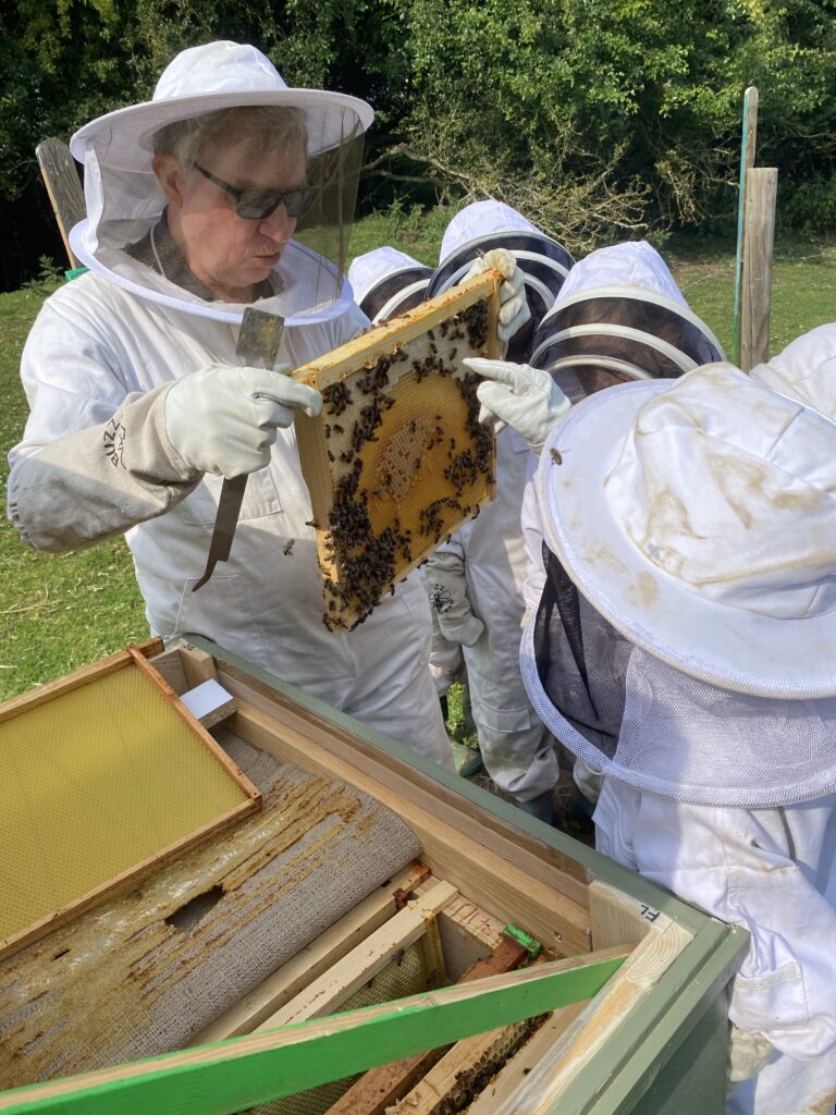 Mr Campbell’s Precious Hive, Copthill School