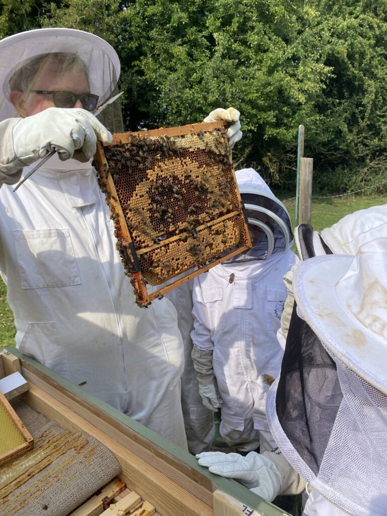Mr Campbell’s Precious Hive, Copthill School