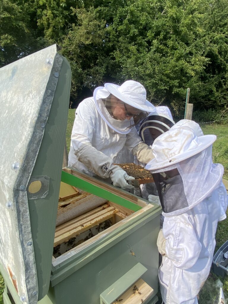 Mr Campbell’s Precious Hive, Copthill School