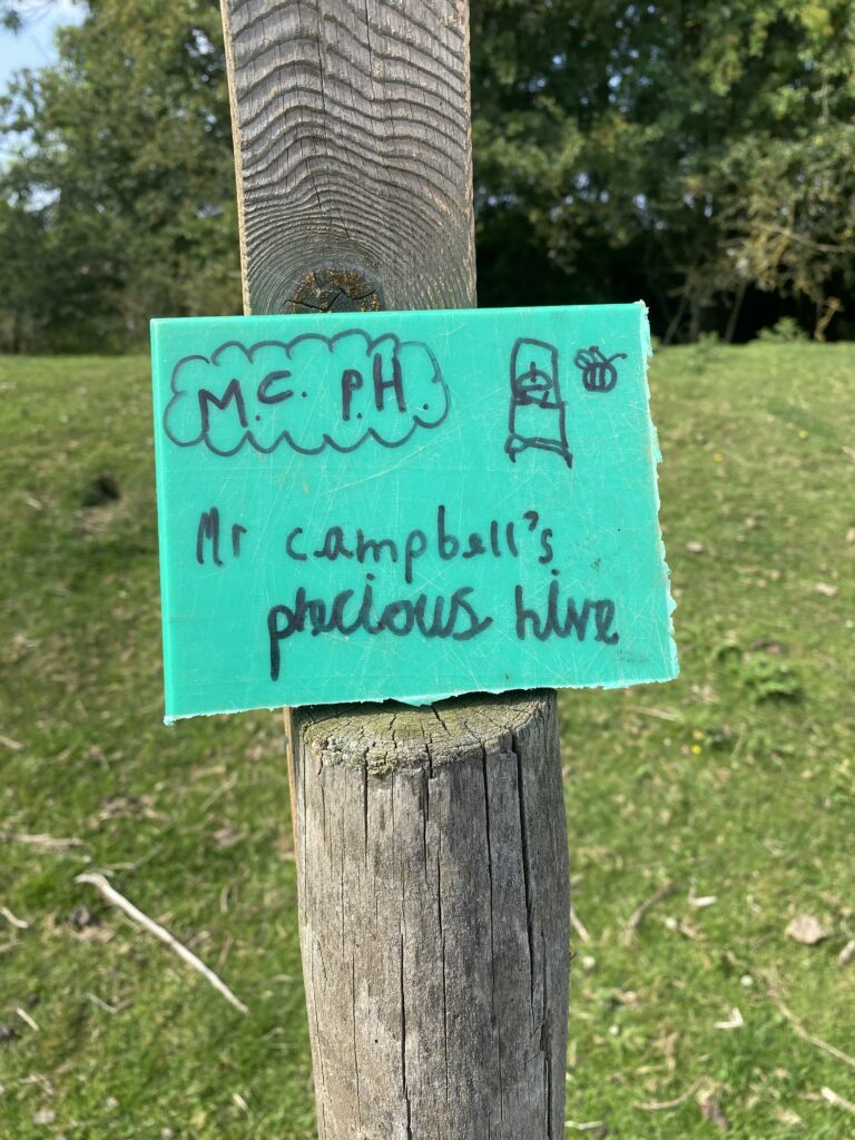 Mr Campbell’s Precious Hive, Copthill School
