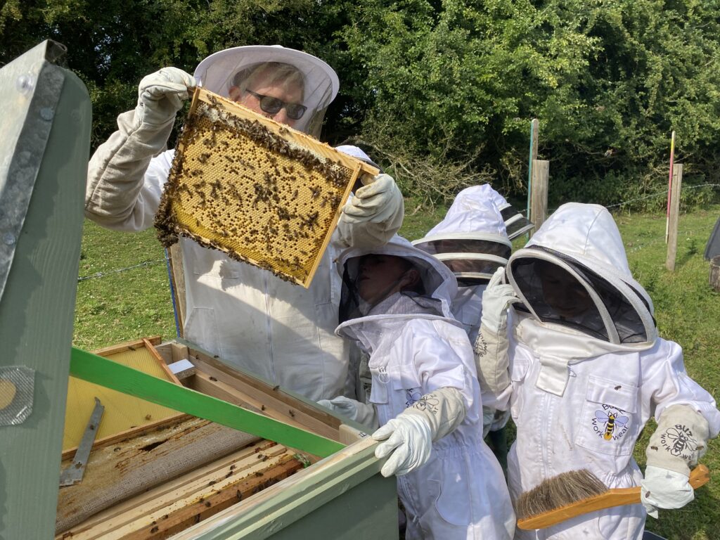 Mr Campbell’s Precious Hive, Copthill School