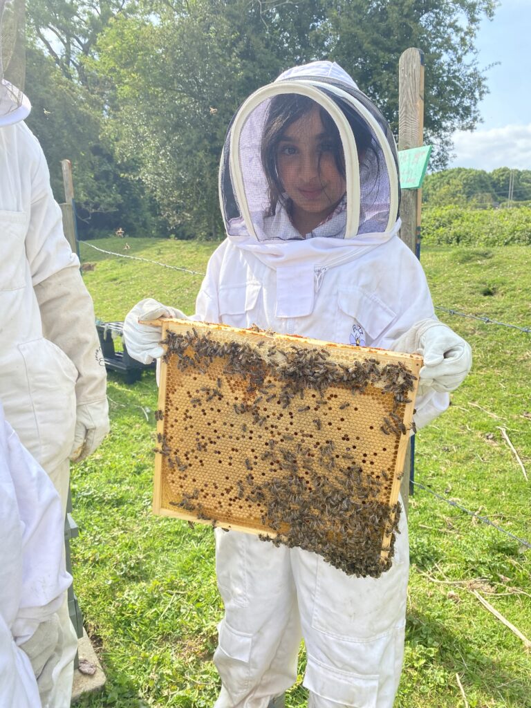 Mr Campbell’s Precious Hive, Copthill School